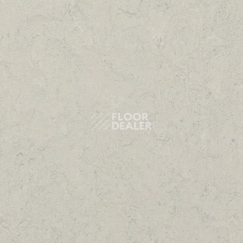 Forbo Marmoleum Marbled Authentic 3860 silver shadow фото 1 | FLOORDEALER